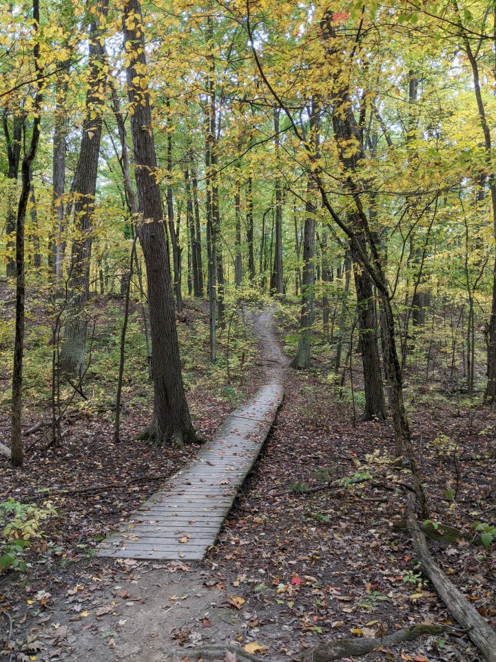 best state parks in michigan