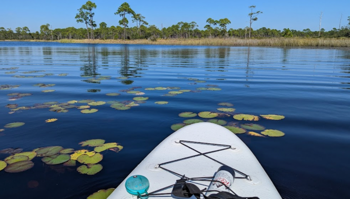 grayton beach state park