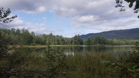 Few People Know There's A Beautiful State Park Hiding In This Tiny Massachusetts Town