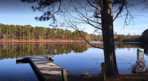 The Stunning State Park In Georgia That Was Underwater For Millions Of Years