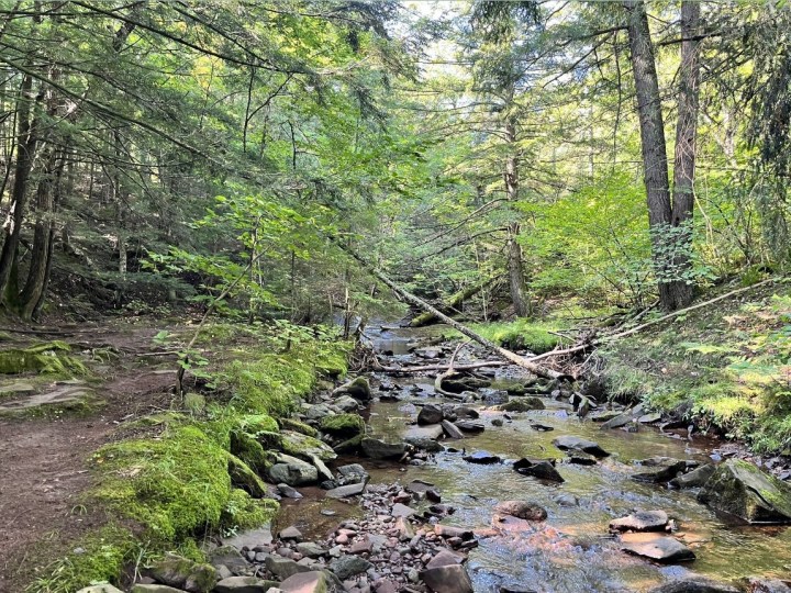 Waterfall Trail Ontonagon Michigan