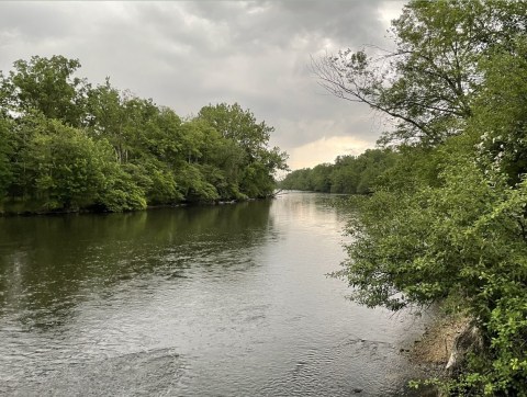 The Trail In Michigan That Will Lead You On An Adventure Like No Other