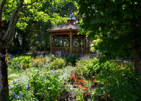 You'll Find Hundreds Of Plants At The Thomas E. Ricks Gardens In Idaho