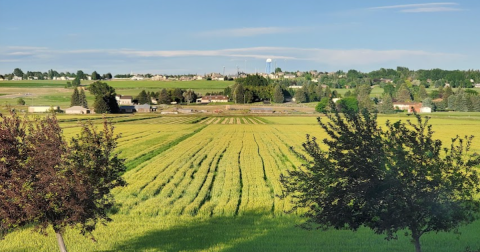 With A Water Park, Farmer's Market, Wildlife Park, And Unique Ice Cream Shop, There's Nothing Like A Summer Weekend In This Idaho Town