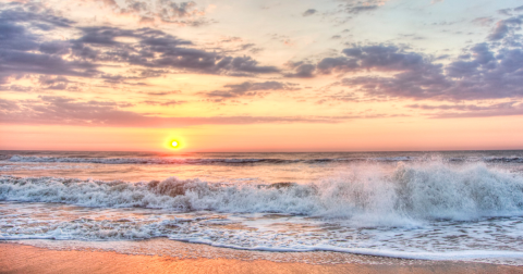 These 10 Virginia Parks Also Have Beaches And You'll Want To Visit