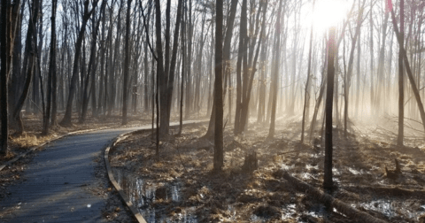 The River Pines Trail In Wisconsin That Leads You Straight To An Abandoned Summer Colony