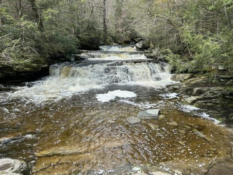 Sundown Wild Forest In Grahamsville, NY Is A Year-Round Nature Lover's Dream