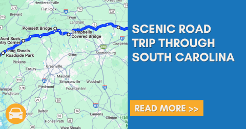 The Stunning South Carolina Drive That Is One Of The Best Road Trips You Can Take In America