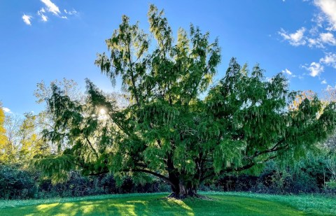 Three Creeks Metro Park in Groveport⁠ Is A Real-Life Paradise In Ohio