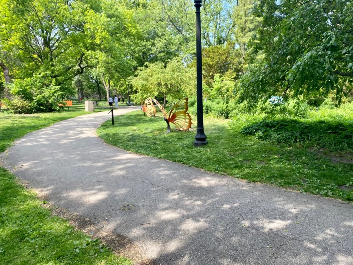 best park in Berwyn, Illinois