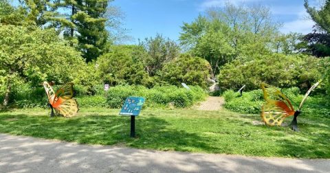 This Butterfly Garden In Berwyn, Illinois Is So Little-Known, You Just Might Have It All To Yourself