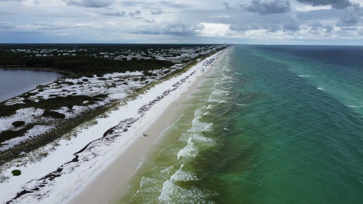 grayton beach state park