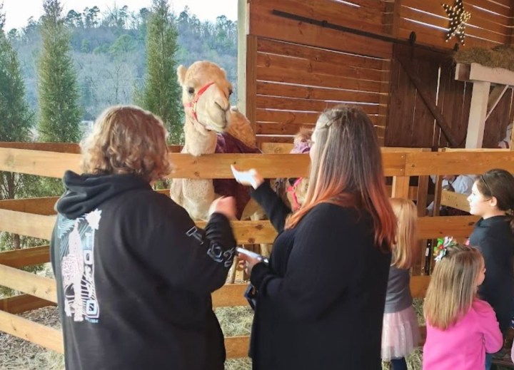 petting zoo and adventure farm in Arkansas