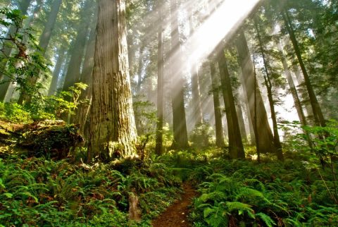 Few People Know There's A Beautiful State Park Hiding In This Tiny Northern California City