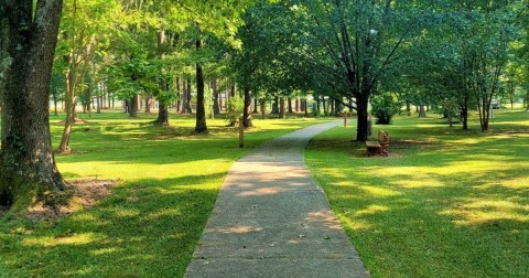 Walk Along Dinosaur Tracks On This Short And Easy Hiking Trail In Arkansas