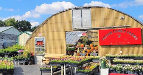 You'll Find Hundreds of Varieties Of Plants, Herbs And Vegetables At Pigeon Family Farms In Arkansas