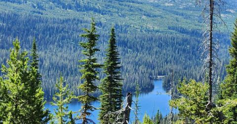 This Beautiful Campground On The Shore Of Upper Payette Lake In Idaho Will Make Your Summer Splendid