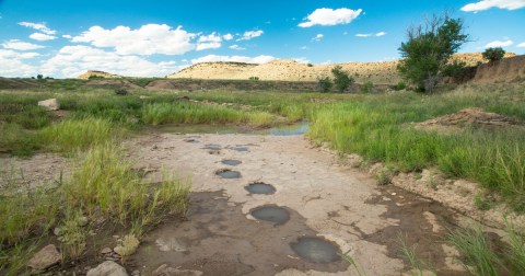 Walk Along Historic Dinosaur Tracks On This Short And Easy Hiking Trail In Oklahoma