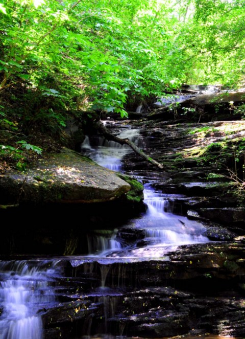 Perhaps The State's Best Hidden Treasure, Hardly Anyone Knows This Waterfall Exists In Alabama