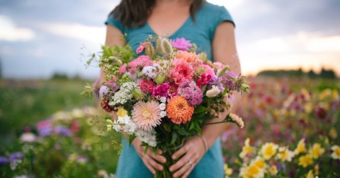 A Colorful U-Pick Flower Farm, Calliope Flowers In Montana Is Like Something From A Dream