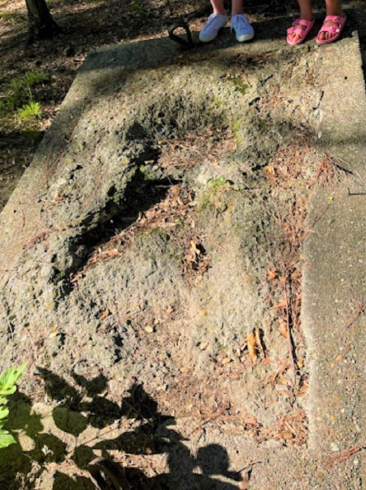 dinosaur tracks in Arkansas