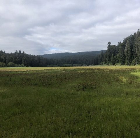 Take An Easy Loop Trail To Enter Another World At Elk Creek In Northern California