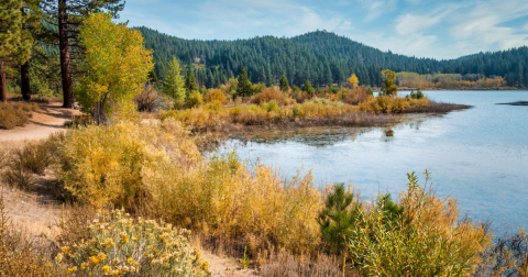 18 Best Hikes In Nevada: The Top-Rated Hiking Trails To Visit In 2024