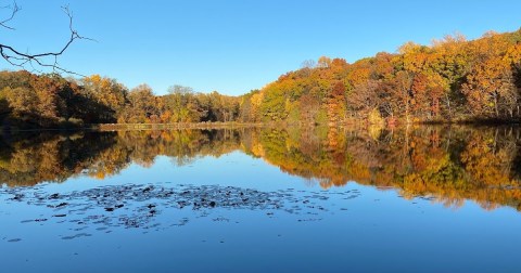 From Stargazing To A Wildflower Walk, Rockefeller State Park Preserve Is The Place To Be This July