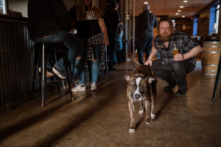 dog-friendly brewery in Darien, Illinois