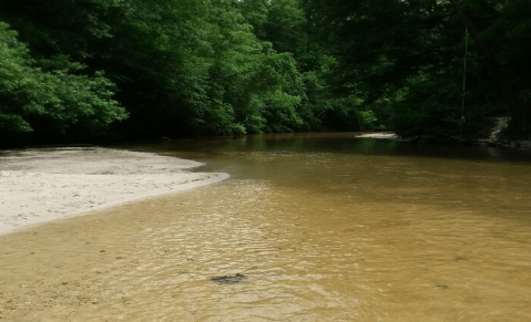 This Hidden Swimming Hole With A Rope Swing In Louisiana Is A Stellar Summer Adventure