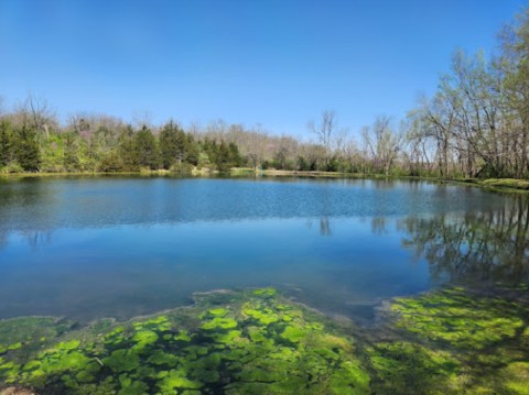 This Off-The-Beaten-Path Park In Missouri Is The Perfect Place To Escape