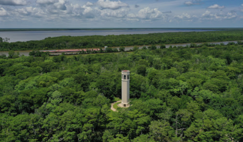 This Off-The-Beaten-Path Park In Louisiana Is The Perfect Place To Escape