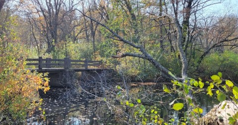 There's Nothing Quite As Magical As The Isle of Ferns You'll Find On The Wisconsin River In Wisconsin