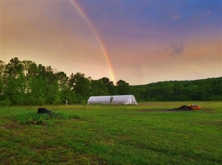 farm café in Arkansas