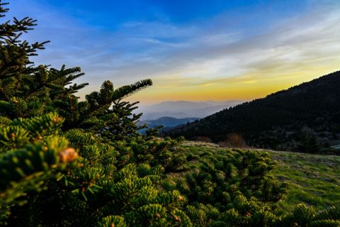 The Appalachian Trail Runs Through This Tennessee Town And It's The Ultimate Outdoor Playground