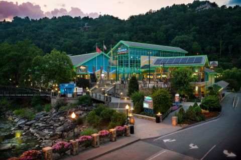 You’ll Never Forget A Trip Through This Aquarium In Tennessee