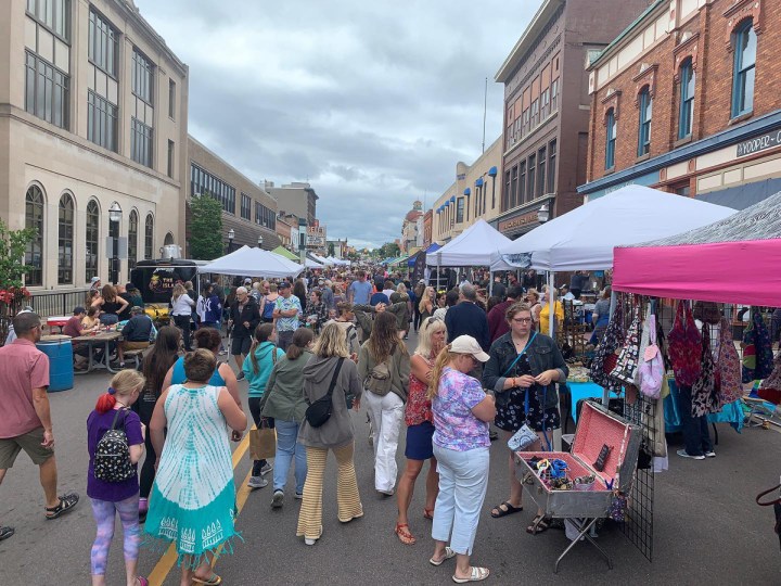 Marquette Blueberry Festival