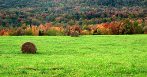 16 Reasons Why You Should Never, Ever Move To Vermont