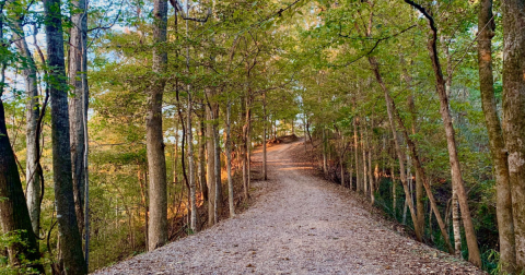 18 Best Hikes In Mississippi: The Top-Rated Hiking Trails To Visit In 2024