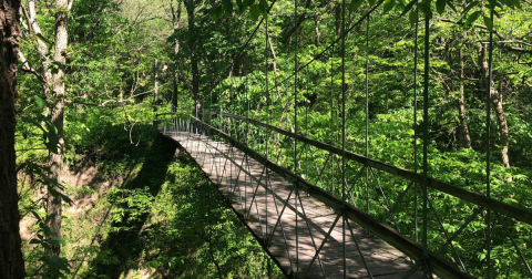 18 Best Hikes In Nebraska: The Top-Rated Hiking Trails To Visit In 2024