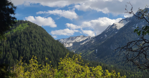 18 Best Hikes In Utah: The Top-Rated Hiking Trails To Visit In 2024