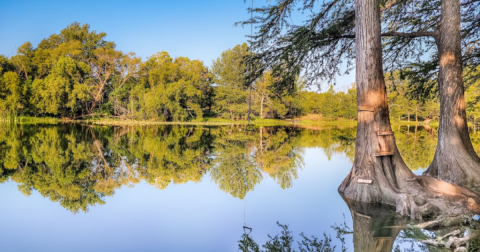 This Hidden Swimming Hole With A Rope Swing In Texas Is A Stellar Summer Adventure