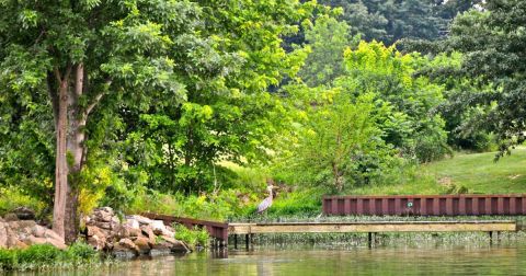 There's Something Magical About These 13 Illinois Lakes In The Summer