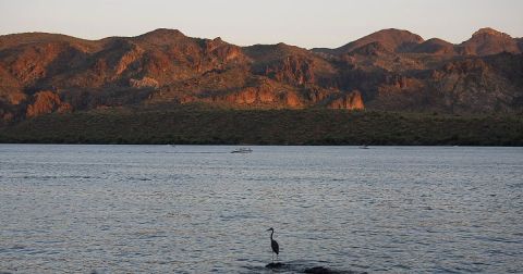 These 20 Gorgeous Lakes In Arizona Are Demanding Your Attention