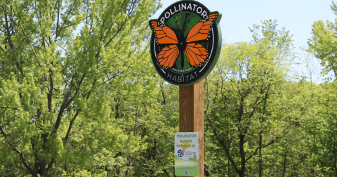 The ADA-Accessible Trail And Pollinator Garden At This Ohio State Park Is Every Kid's Dream Come True