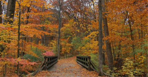 18 Best Hikes In Ohio: The Top-Rated Hiking Trails To Visit In 2024