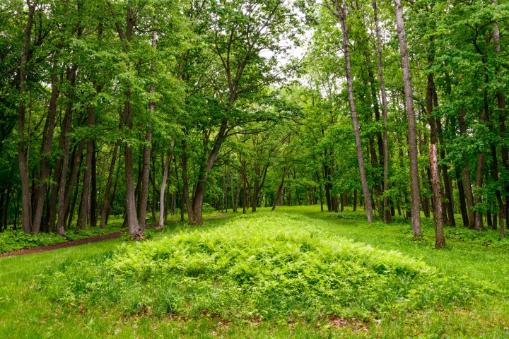 Effigy Mounds National MonumentEffigy Mounds National Monument