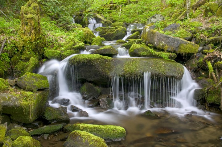 Great Smoky Mountains National Park