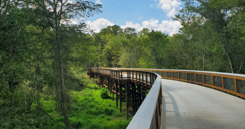 In Honor of National Trails Day, A Brand-New Hiking Trail Has Been Designated In Georgia