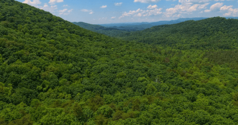 Enjoy An Amazing Weekend In The Mountains When You Visit Gilmer County, Georgia